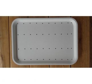 2 TAVI GERMINARE MARI EL-DOR PLANT